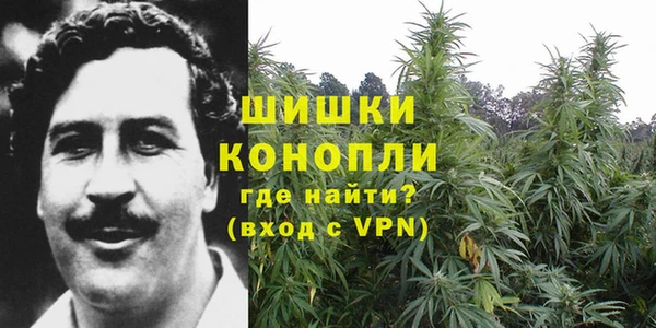 гидропоника Богородск